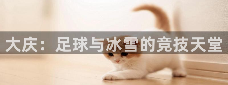 JJB竞技宝官方平台体育