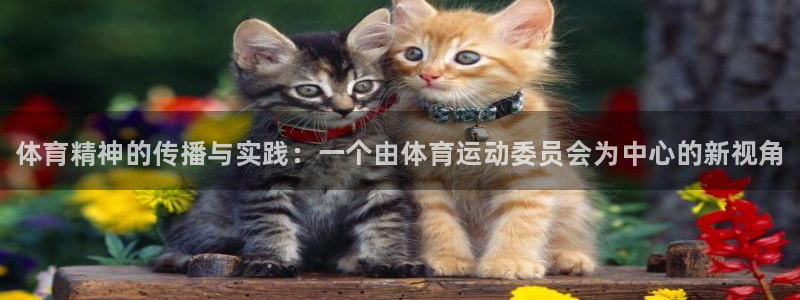 JJB竞技宝官方正版app娱乐是那个系列的台子：体育