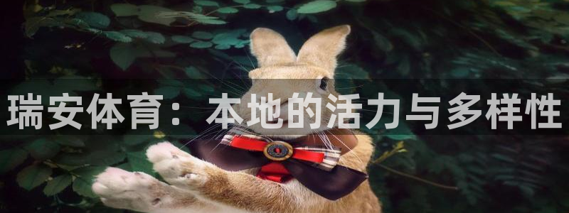 JJB竞技宝官网下载软件：瑞安体育：本地的活力与多样性