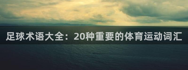 JJB竞技宝官网下载平台：足球术语大全：20种重要的