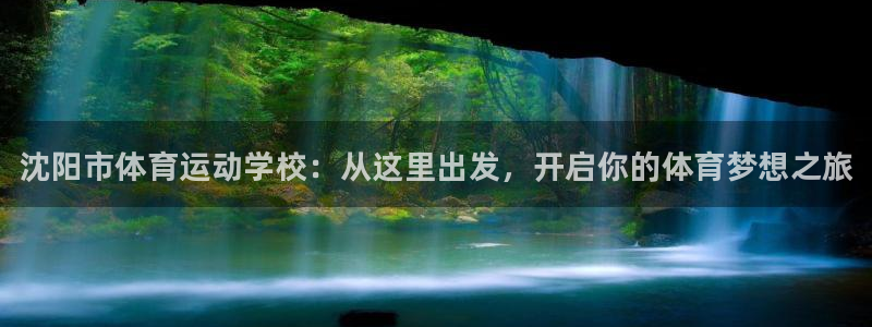 德国JJB竞技宝官方正版app集团：沈阳市体育运动学
