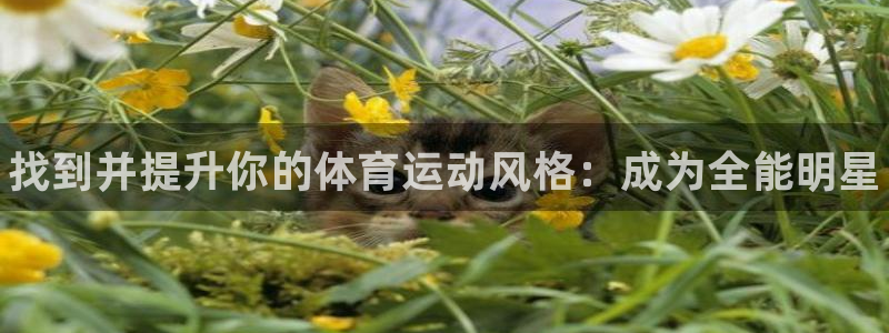 JJB竞技宝官网下载招商电话号码是多少啊：找到并提升你的体育