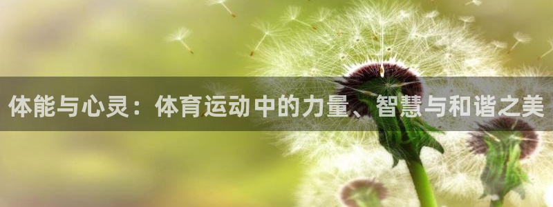 JJB竞技宝官网下载招商电话地址：体能与心灵：体育运