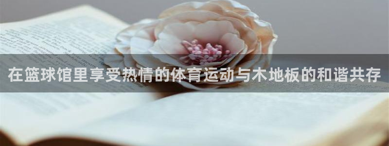 JJB竞技宝官方正版app娱乐代理怎么样：在篮球馆里享受热情