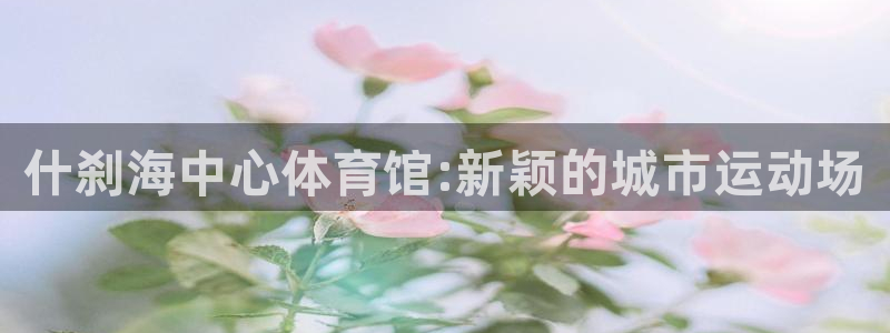 海南JJB竞技宝官网下载：什刹海中心体育馆:新颖的城市运动场