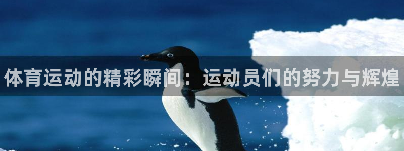 JJB竞技宝官网下载平台假的吗是真的吗：体育运动的精彩瞬间：