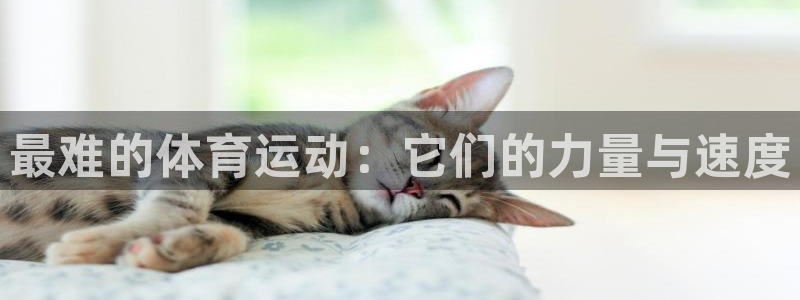 JJB竞技宝官网下载软件：最难的体育运动：它们的力量与速度