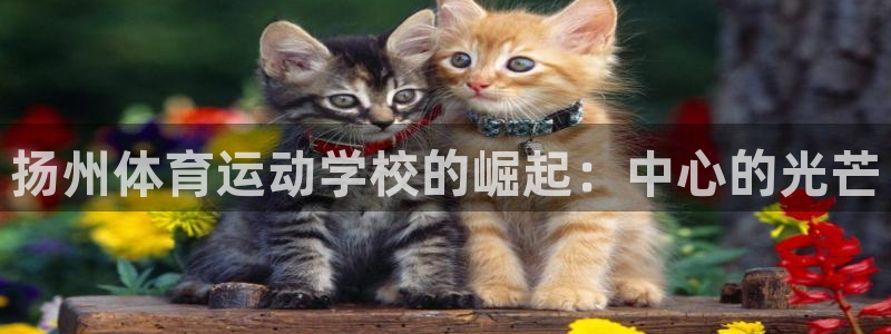JJB竞技宝官网下载官方客服电话：扬州体育运动学校的