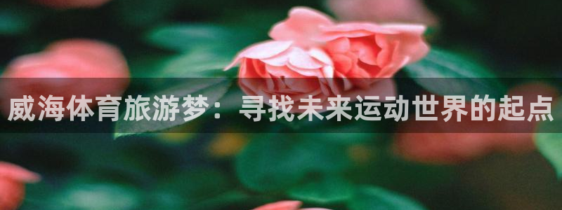 JJB竞技宝官网下载平台：威海体育旅游梦：寻找未来运