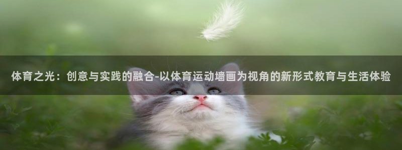 JJB竞技宝官网下载招商电话地址：体育之光：创意与实
