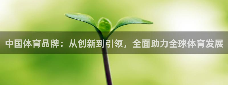 JJB竞技宝官方正版app神州：中国体育品牌：从创新到引领，