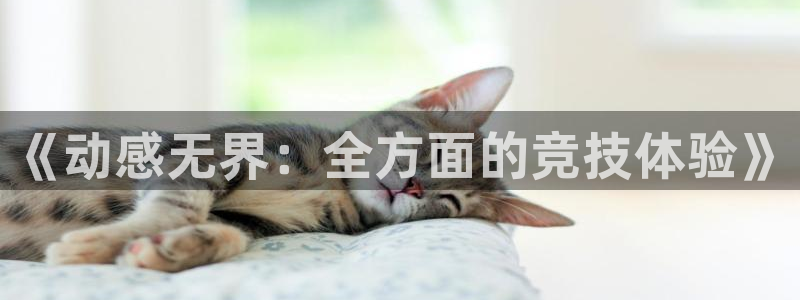 JJB竞技宝官网下载平台注册：《动感无界：全方面的竞技体验》