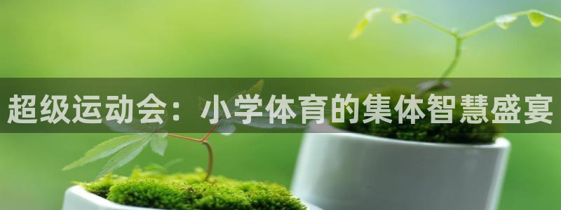 JJB竞技宝官网下载招商电话地址：超级运动会：小学体育的集体