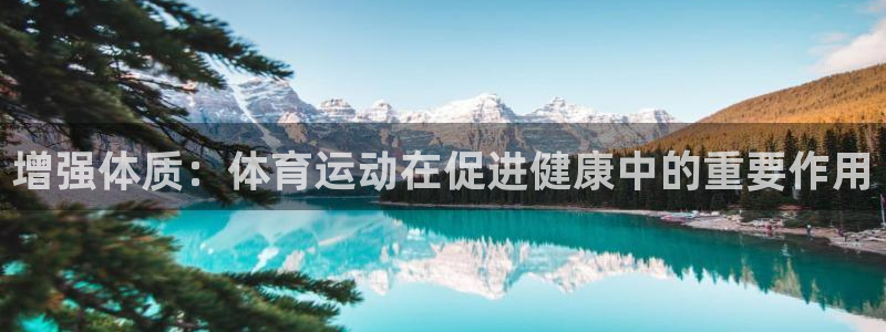 JJB竞技宝官网下载