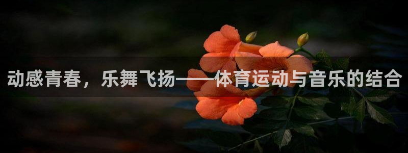 JJB竞技宝官网下载：动感青春，乐舞飞扬——体育运动