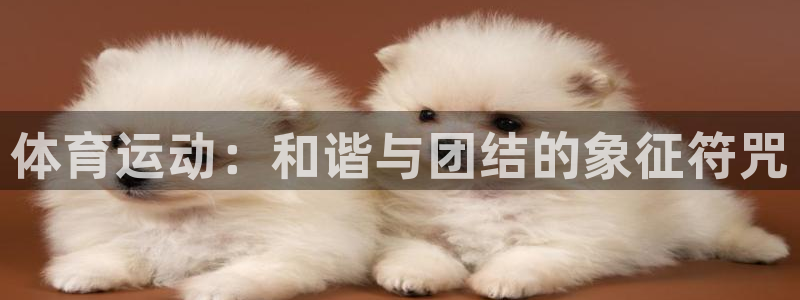 JJB竞技宝官网下载招商电话号码查询是多少：体育运动