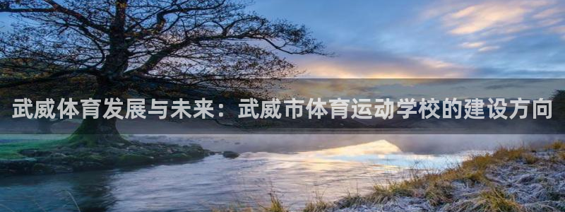 JJB竞技宝官方正版app集团：武威体育发展与未来：