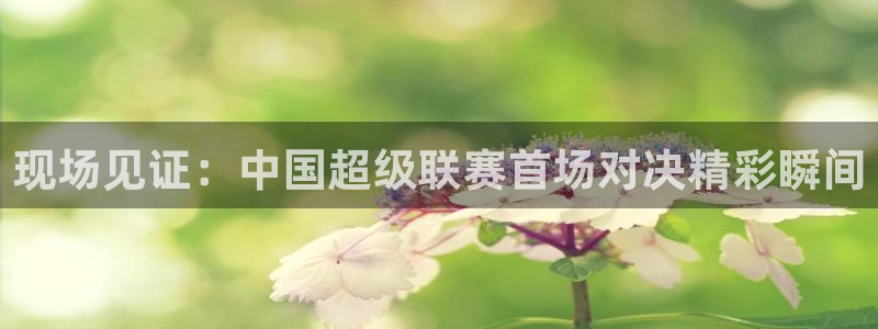 51视频在线直播nba：现场见证：中国超级联赛首场对决精彩瞬间