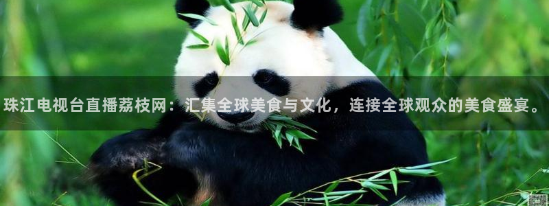 51视频在线直播nba：珠江电视台直播荔枝网：汇集全球美食与文化，连接全球观众的美食盛宴。