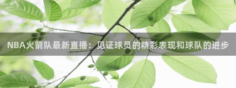 51视频在线直播nba：NBA火箭队最新直播：见证球员的精彩表现和球队的进步